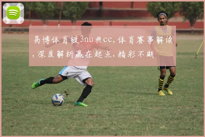 易博体育镀3nu典cc,体育赛事解读,深度解析赢在起点,精彩不断